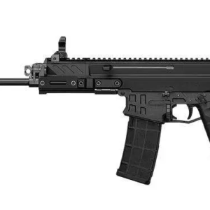 CZ BREN 2 MS PISTOL 5.56 11" BLACK FIP UP SIGHTS 2-30RD MAGS