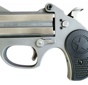 Bond Arms BASRS-380ACP STINGER RS .380 ACP 3" 2 Rounds Stainless W/ Rough Series Finish