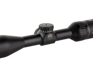 BURRIS SIG HD 2-10X40MM BAL E3