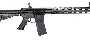 ET Arms ETAGOMEGA556ML15 RIA Omega-15 5.56x45mm 16" 1:8 BBL 15" | ET Arms