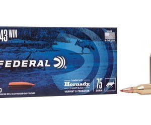 FED V&P 243WIN 75GR V-MAX 20/200