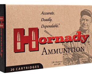 Hornady HRNDY 300BLK 110GR CX 20/200 | Hornady