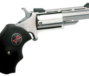 North American Arms NAA-BWM Black Widow Mini Revolver .22WMR 5 Rounds 2" SAO Stainless/Rubber Grips