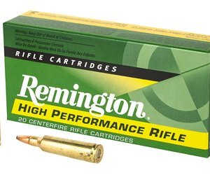 REM 22-250 55GR PSP 20/200