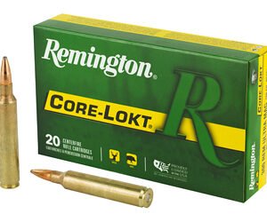 REM 300RUM 180GR CL 20/200