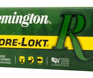 REM 3030WIN 150GR SP CL 20/200