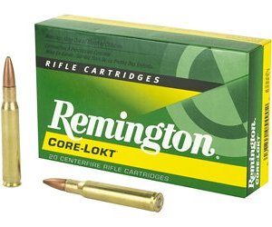 REM 30-06 180GR PSP CL 20/200