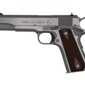 Colt Government Model Handgun .45 Auto 7rd Magazine 5" Barrel Stainless Finish