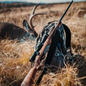 Hunting Supplies & Gear