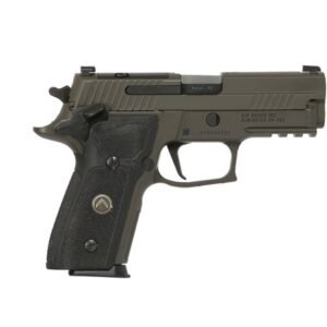 SIG SAUER LEGION 229 SAO 9MM PSTL GRY, BLK G10 GRIP, 3-10RD MAGS, OPTICS READY MASS COMPIANT