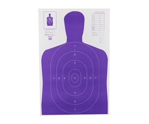 Action Target ACTION TGT HIVIS FLOR PRP B27E 100PK | Action Target