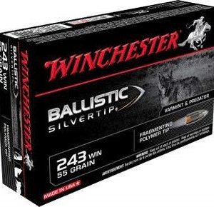 Winchester 243 Win Supreme SBST243 55 gr Ballistic Silvertip 20 rounds