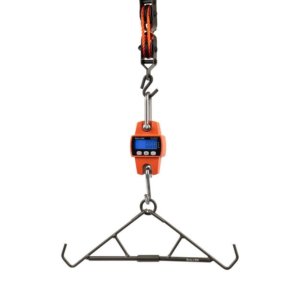 Allen Digital Game Scale Orange