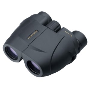 Leupold BX-1 Rogue Compact Binocular 10x25mm Inverted Porro | Leupold