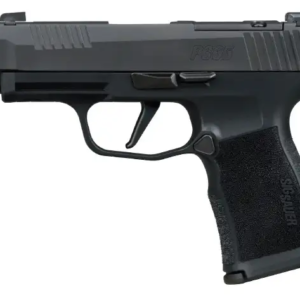 SIG SAUER P365XL COMP M.S. 380ACP PISTOL 3.1" X SERIES, O.R. 2-12RD MAG