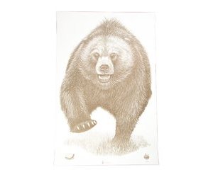 ACTION TGT AK STATE PARK BEAR 100PK