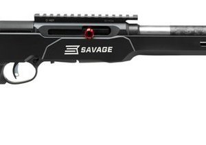 SAVAGE A22 PRECISION LT 22LR RFL 18